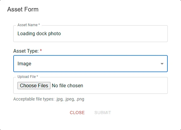 The Asset Form with an image selected